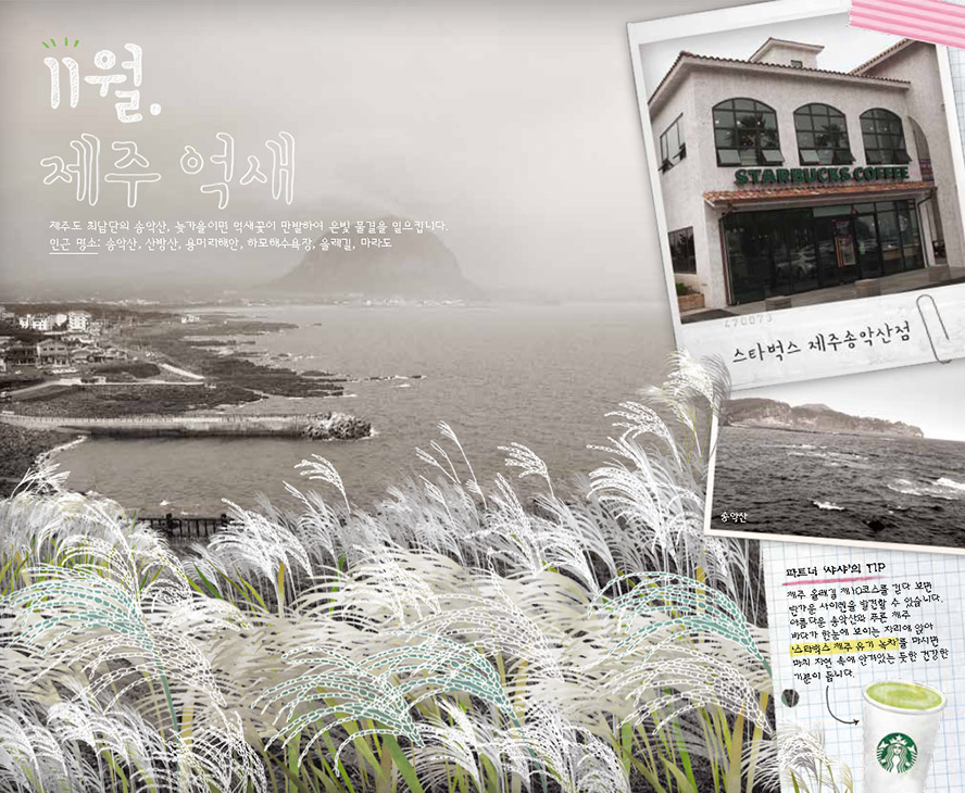 11월. 제주 억새, 제주도 최남단의 송악산, 늦가을이면 억새꽃이 만발하여 은빛 물결을 일으킵니다. 인근 명소 : 송악산, 산방산, 용머리해안, 하모해수욕장, 올레길, 마라도, 스타벅스 제주송악산점, 파트너 '샤샤'의 TIP : 제주 올레길 제 10코스를 걷다 보면 반가운 사이렌을 발견할 수 있습니다. 아름다운 송악산과 푸른 제주 바다가 한 눈에 보이는 자리에 앉아 '스타벅스 제주 유기 녹차'를 마시면 마치 자연 속에 안겨있는 듯한 건강한 기분이 듭니다.
