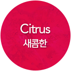 Citrus 새콤한